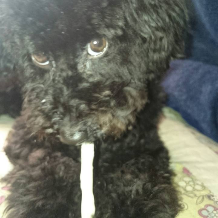 E03bcb2e a4fc 4265 b811 a700a8e1866f