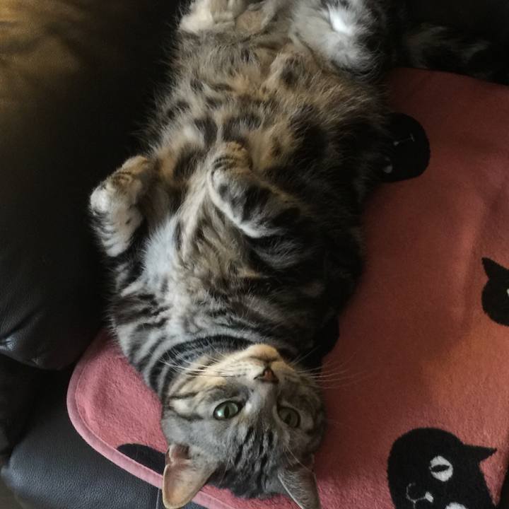 E03c8251 6306 4983 aa94 01812faa9fec