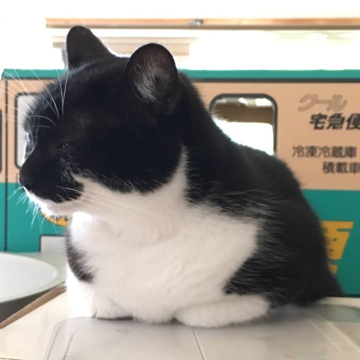 E03cc729 6487 4c86 bfc2 8d6fccc410e5