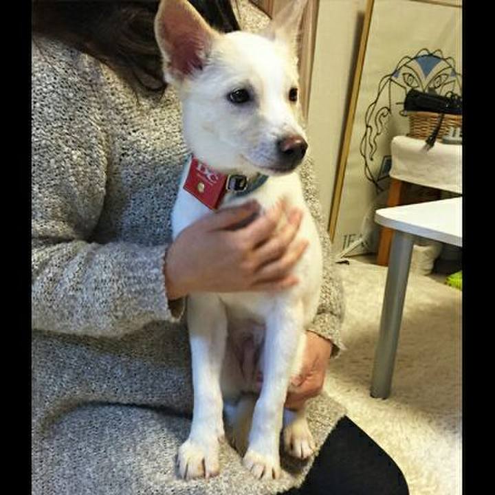 E03d02d8 2646 4feb a992 84ae23738b43