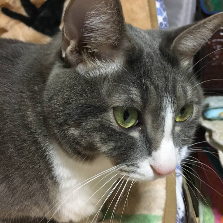 E03d769a d3c2 40af 93b2 a259f52d110b