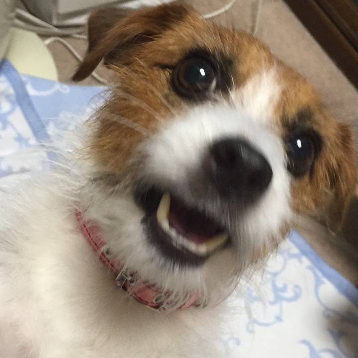 E03dfa5a 5072 4e21 ab4f 911ff926eb00