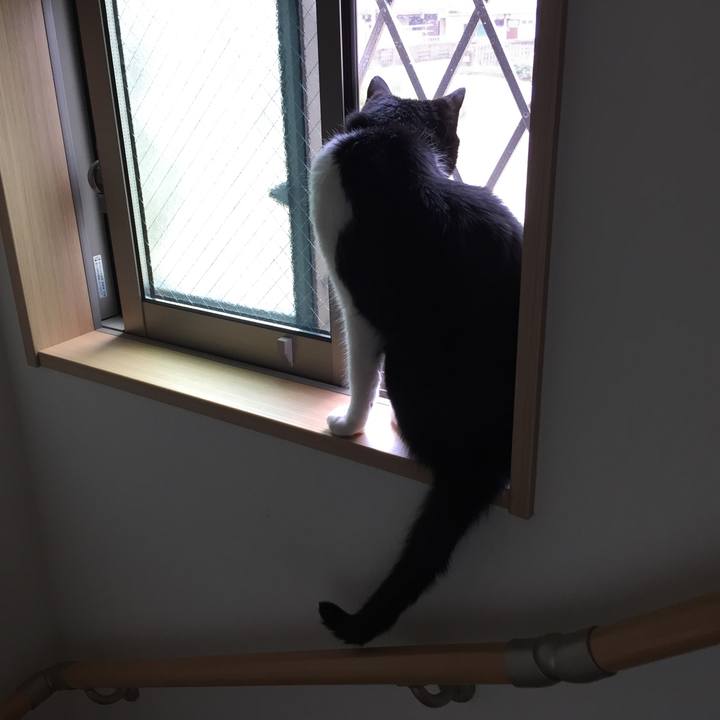 E03dfe84 a6fb 4cbd 8e93 4704fdce0301