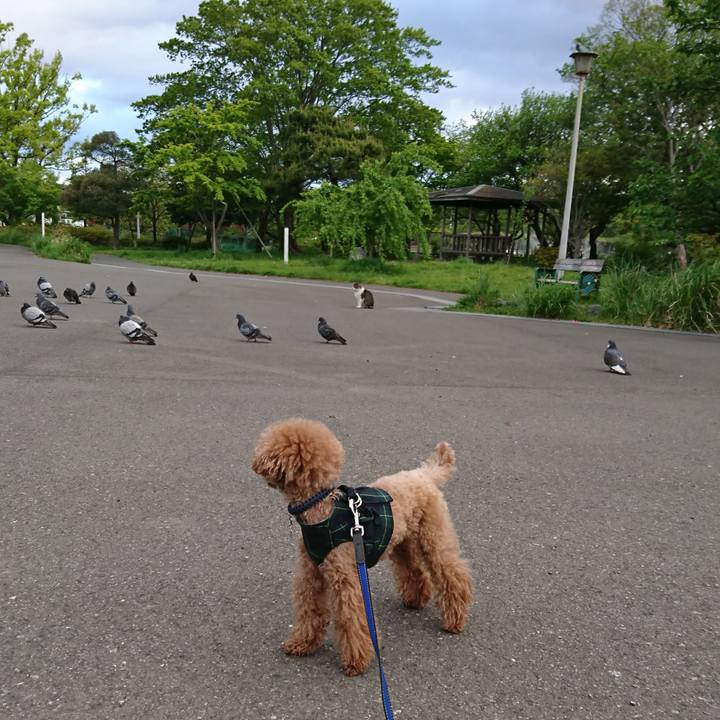 E03ead89 25ab 4571 99b0 cc3a7bb3d6eb