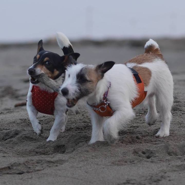 E03ed2ee 92bc 4c6d bae4 09c8d453a950