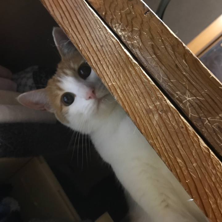 E03f3b72 1db5 4f7e b4a6 3ba48708781c