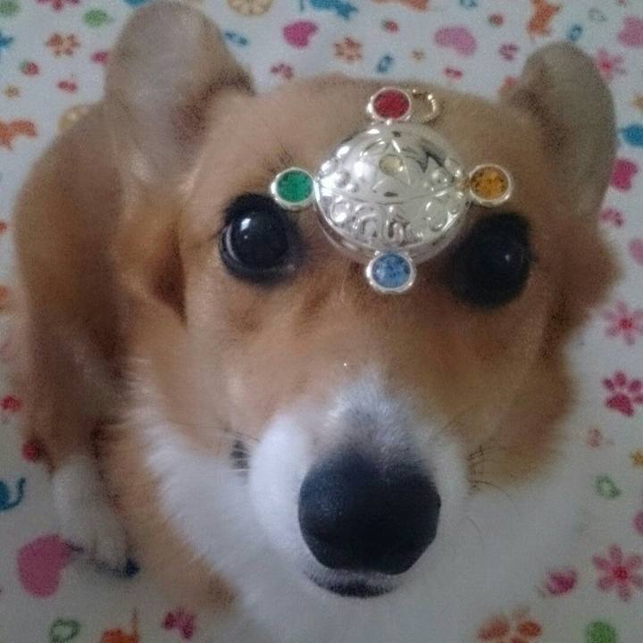 E03f8fff e269 4457 b2c1 5150e10c3ee4