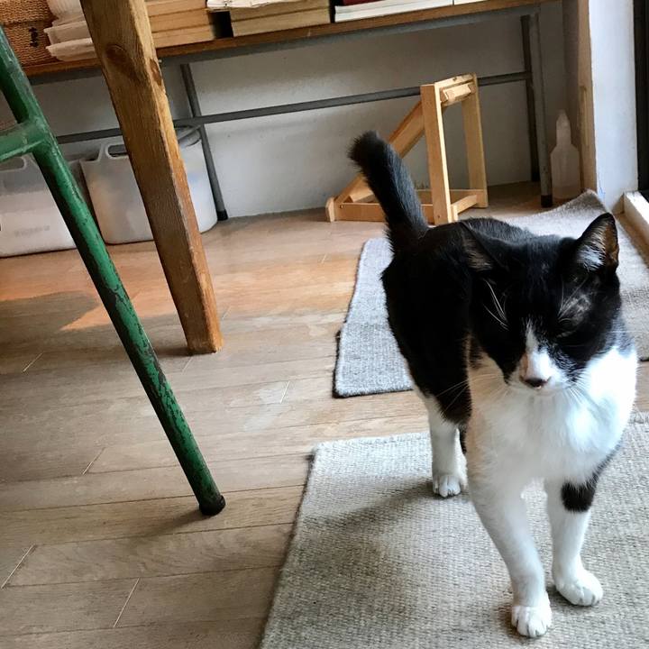 E03fa0d8 13df 465f a314 4b68d16cd09d