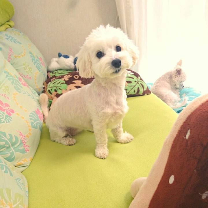 E03fd4aa 3755 4fc2 ba9a f0351162eea1