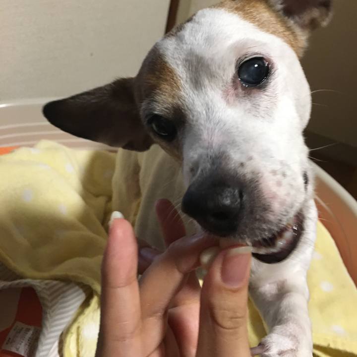 E0402da0 6fec 4542 909d 188fabcf5df6