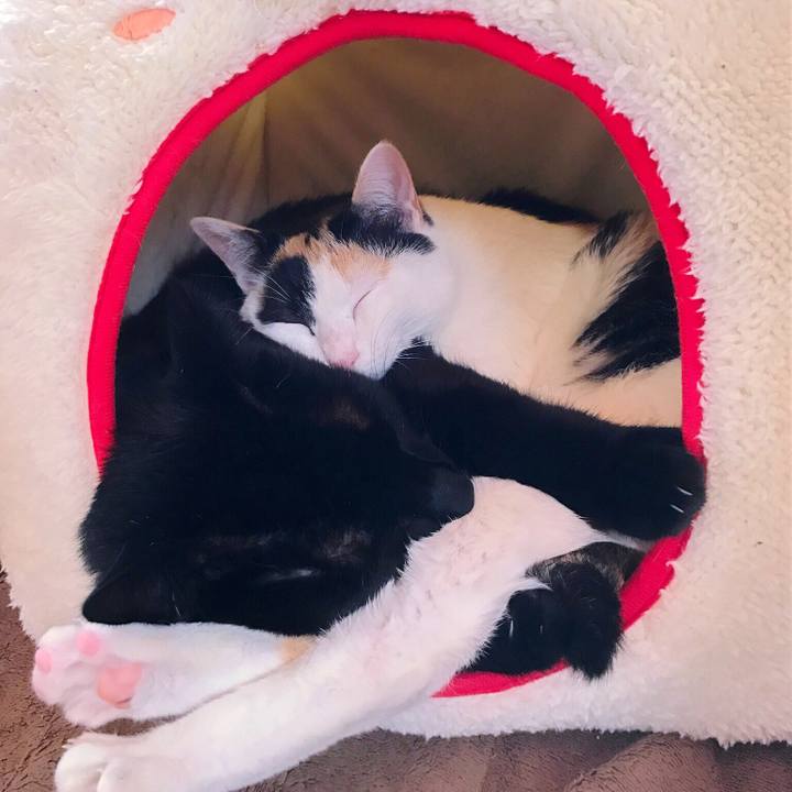 E040dcb4 37a0 4357 98f7 92e52922a860