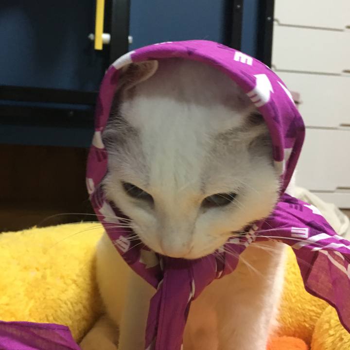 E04163d4 874d 446f 96ff 8566b4ad1ae7