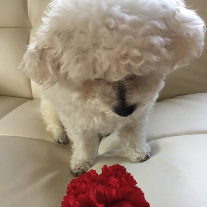 E0419393 b535 4b8c afde 41bf6798e115