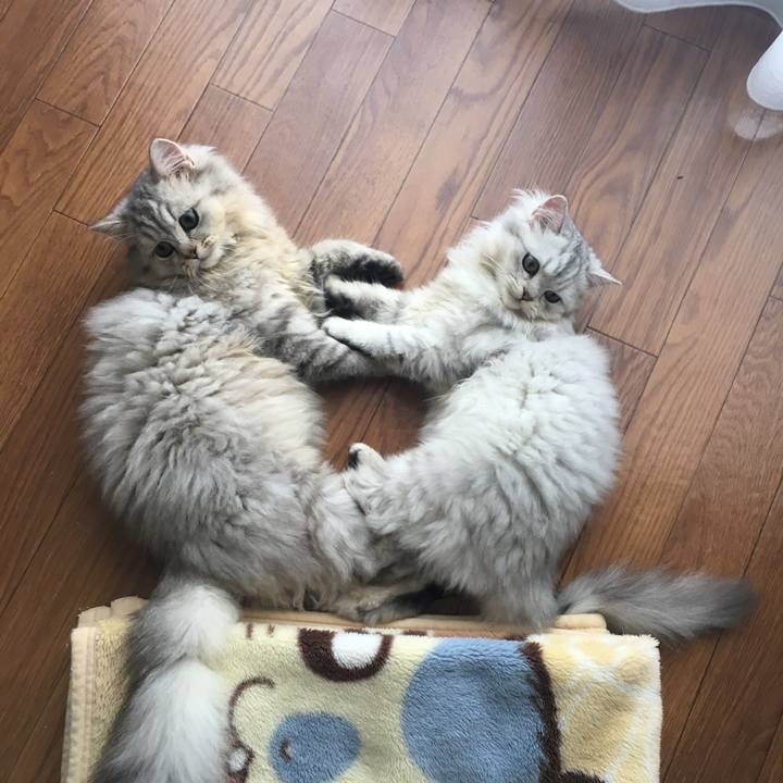 E041f5a5 9432 4cd2 901a a2db6f95eaf2