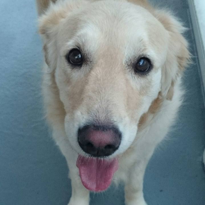 E0429673 368f 4f90 8c4f 4ecf6ad269e9