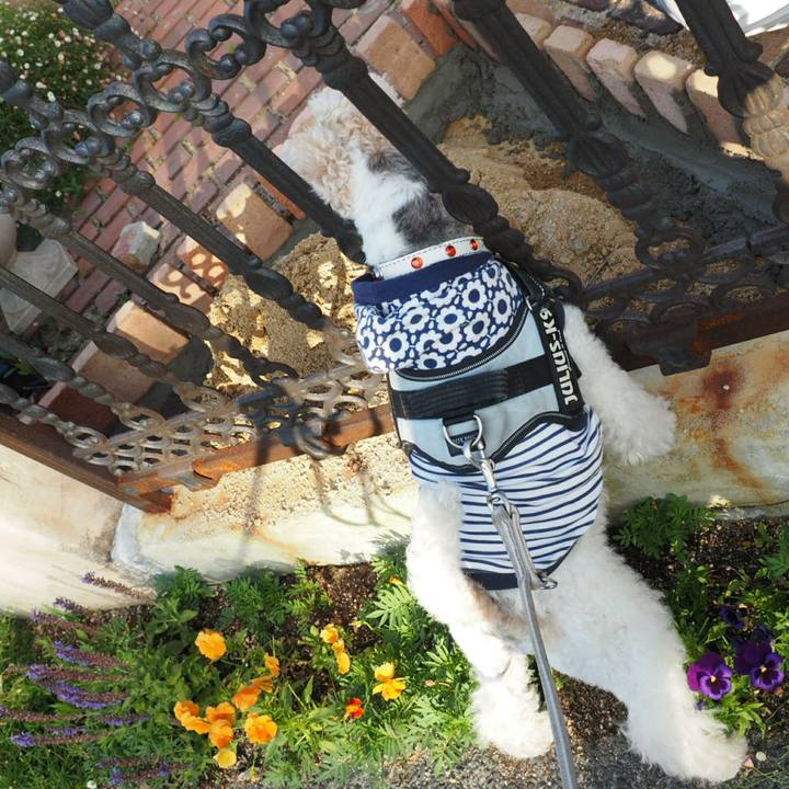 E04336c2 7cbd 4497 aaaa a0bb5dc786f9