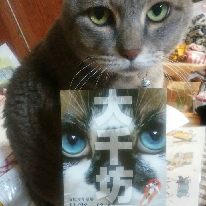 E0433fd8 ae9a 41bc b777 32dafe974ad4