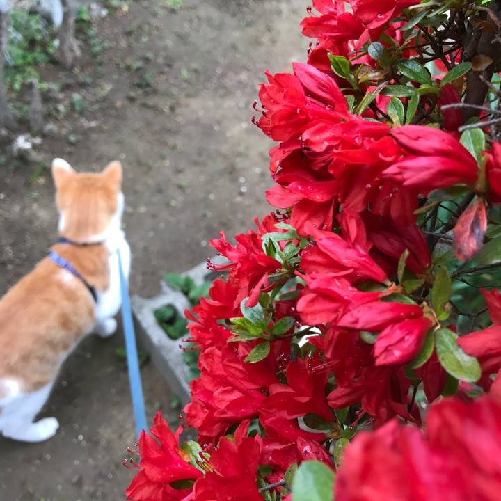 E04374d0 c1ba 4441 b126 f04a8ef34549