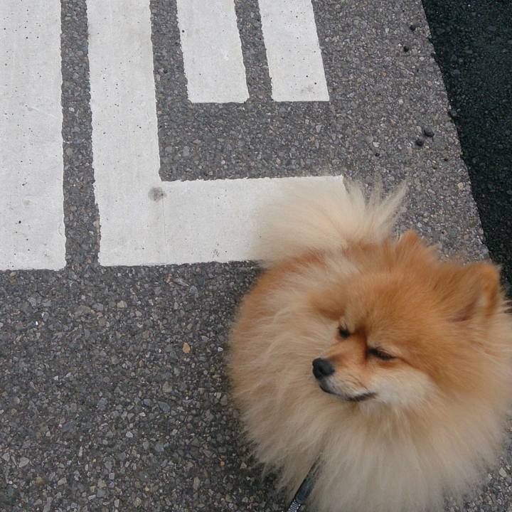 E044ae93 c39c 4cb4 bc1f 6c35482318ee