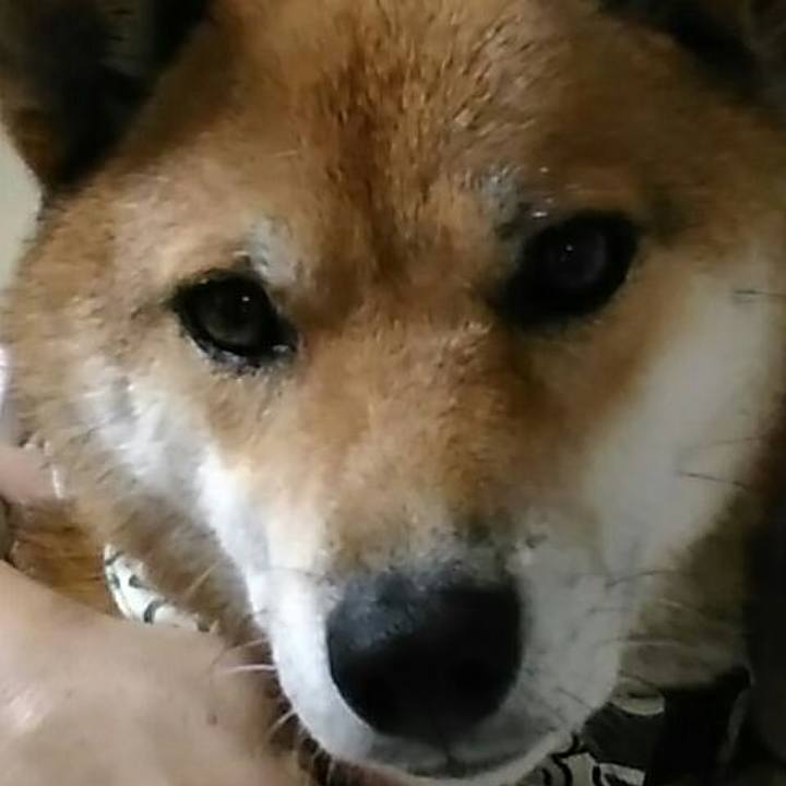 E045a988 f1f3 42d3 ba9d 77d3119d2c01