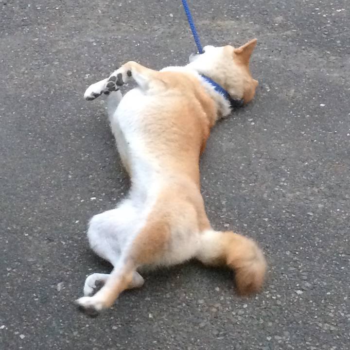 E045da99 8385 4841 83b4 46ec9c372ba0