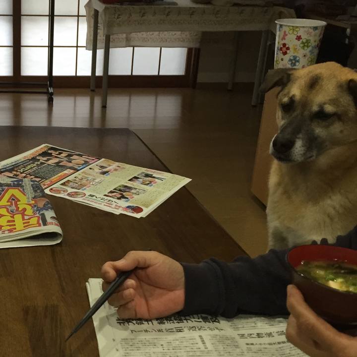 E0460fa9 5077 4ce5 aebb f2fc2c425806