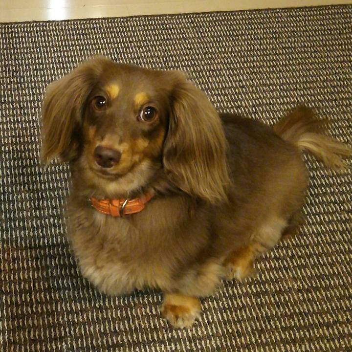 E0462bae 8f5c 463b b27b 3eedc077679e