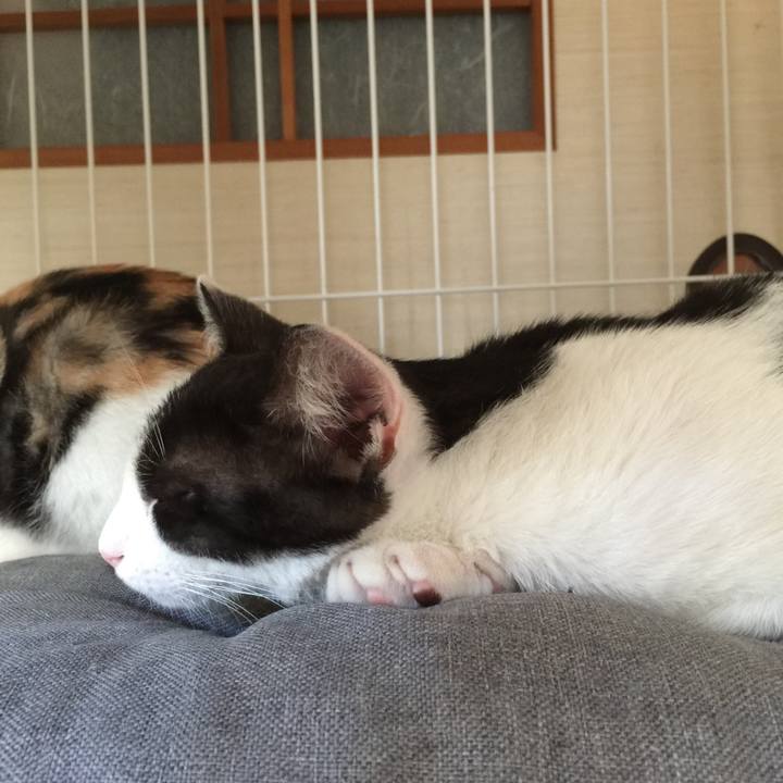 E04645a0 0e39 4c25 89c8 1ac38373ce18