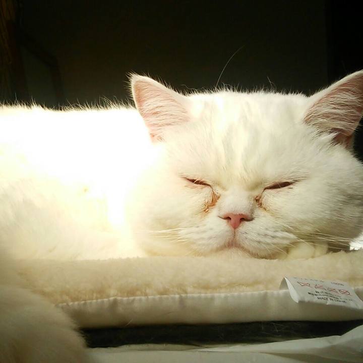 E0467566 94db 4e05 b017 994aa791e069