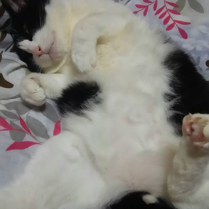 E0467800 ef7e 4dcd 95f4 0691207e6d81