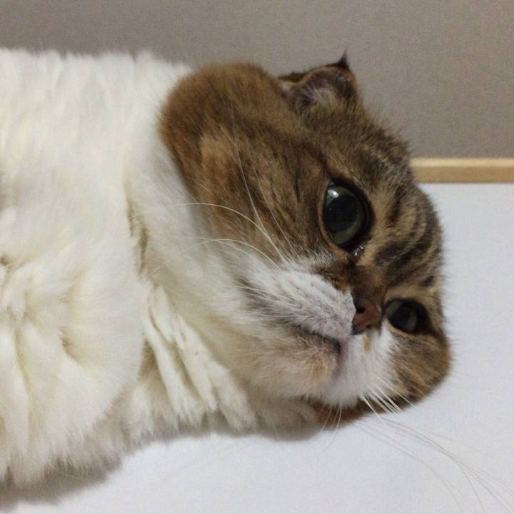 E046f23b 4270 4273 a328 3e656f3827fc