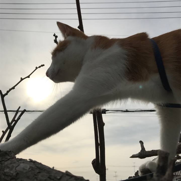 E0471286 a66c 4003 bfc7 b245d7689665