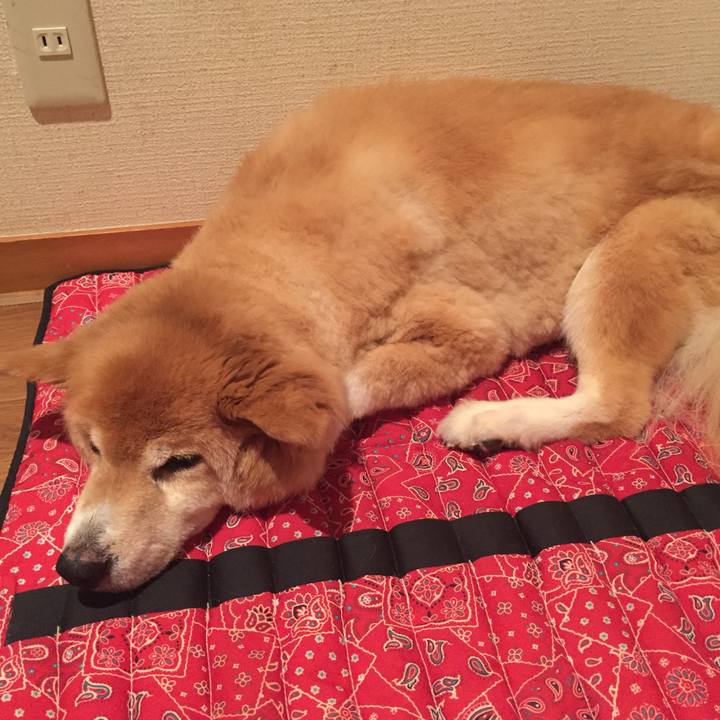 E047444b c77e 49f0 b942 8a373ba98b8f