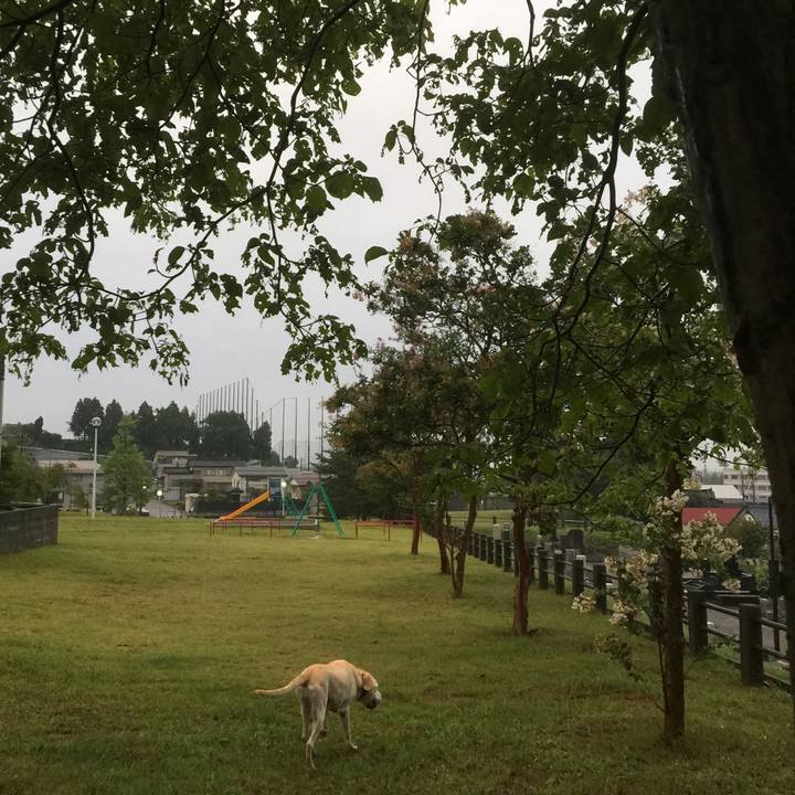 E04750d6 708a 44c8 abc0 1b892204254b