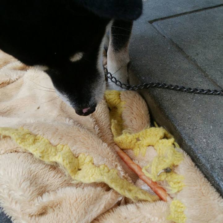 E0494b92 58aa 42a6 9d92 cdf45d95ff12