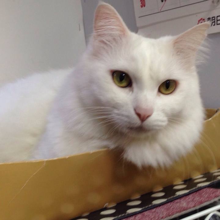 E049e253 b462 41e7 847a 5303f901aba5