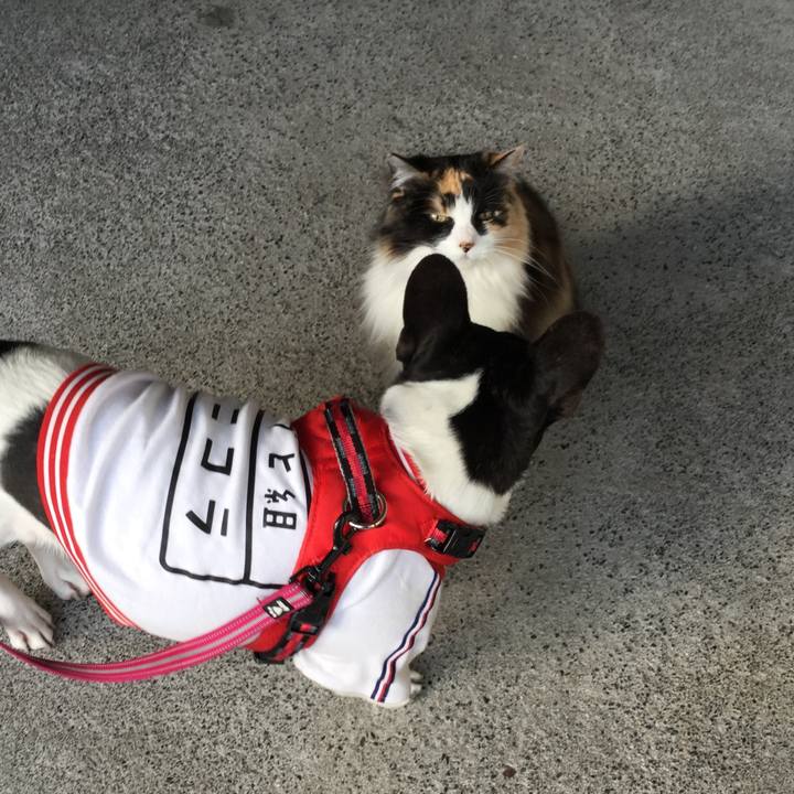 E049e5a7 18a9 455b ac5c f82b8b16e869