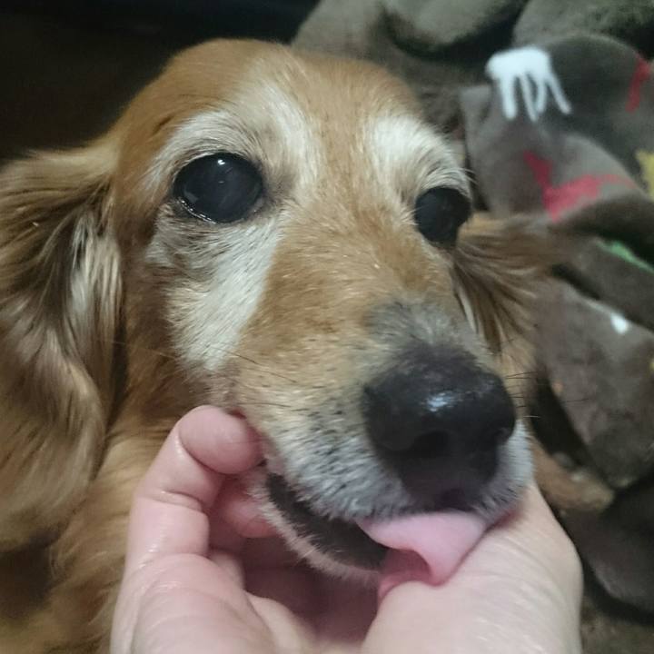 E04a8218 4481 46f6 875c a1b380eee4f7