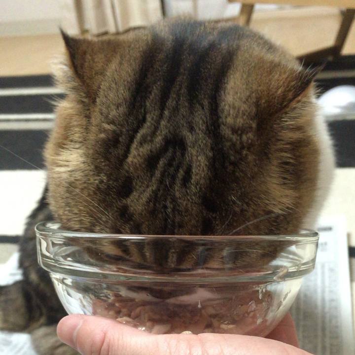 E04abb8a f7a2 41b5 a2de 95a5e933b80d