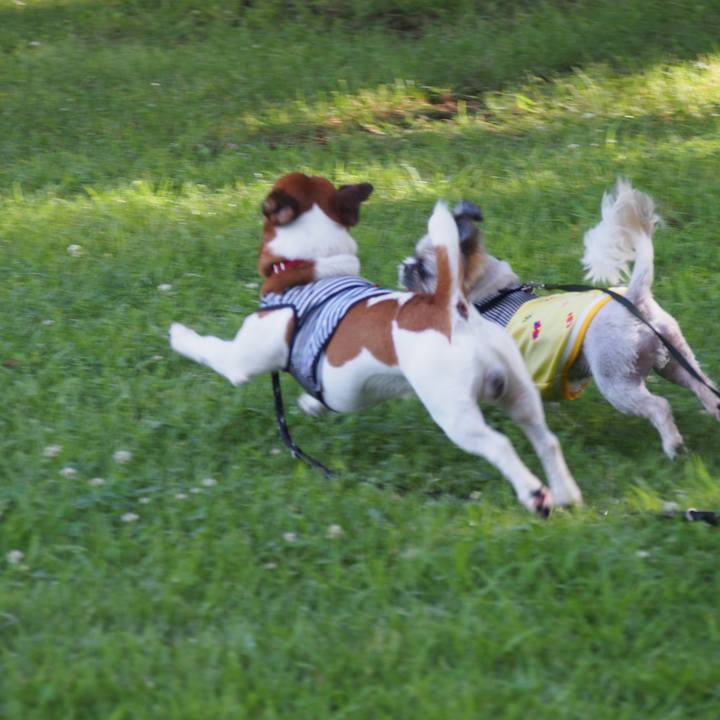 E04afeb4 a195 4885 9f17 0b38204d6c48