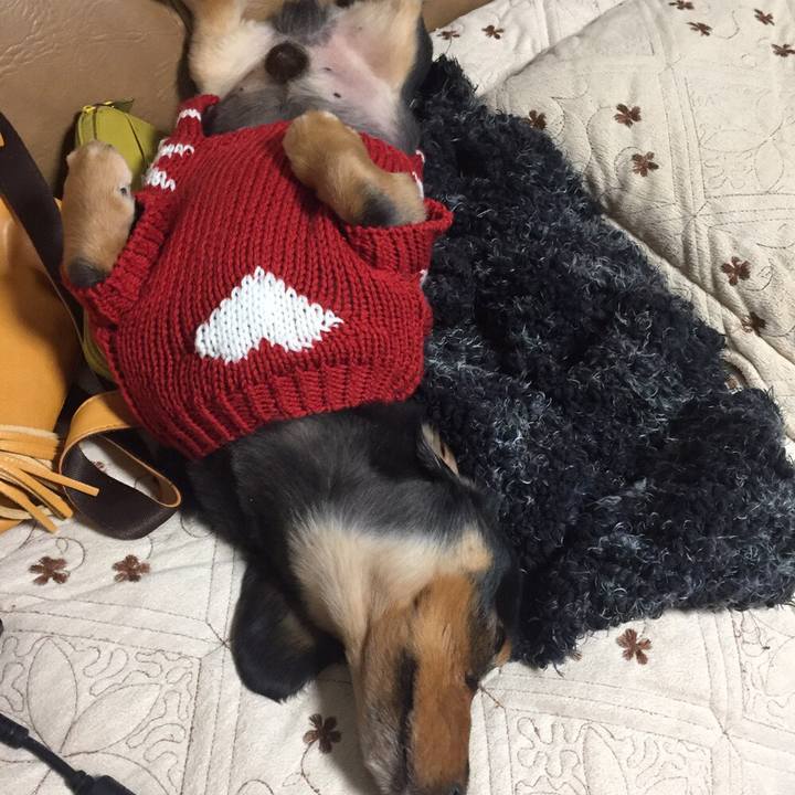 E04c50f0 0e7d 456c a002 382ce475daab