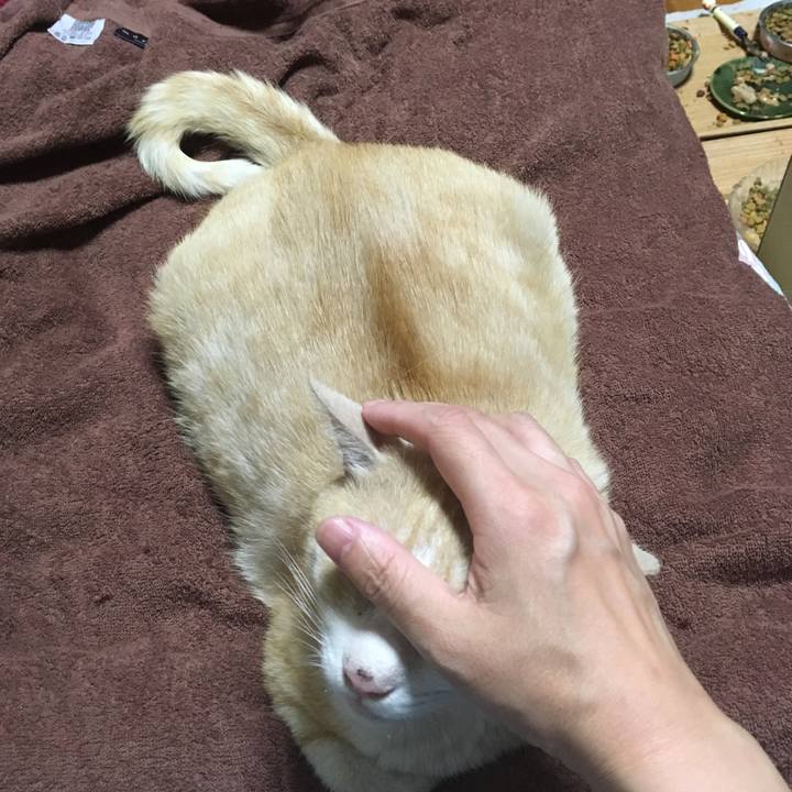 E04c6857 ad6d 4b80 a25b 67bbe34593f4