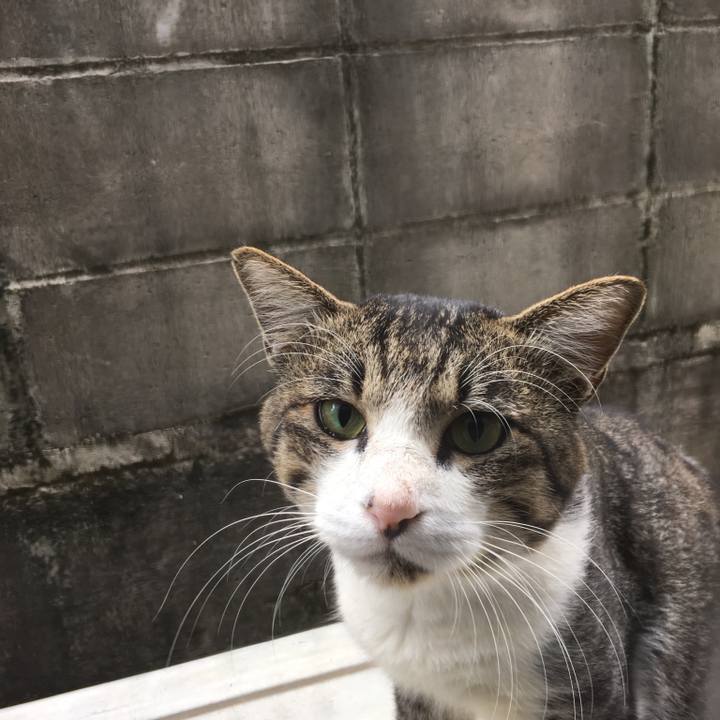 E04c6934 bd06 4da0 84e0 523be1f5908d