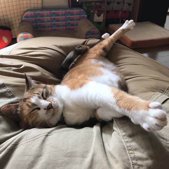 E04cbef0 7853 4555 80f2 dae0dc9a8846