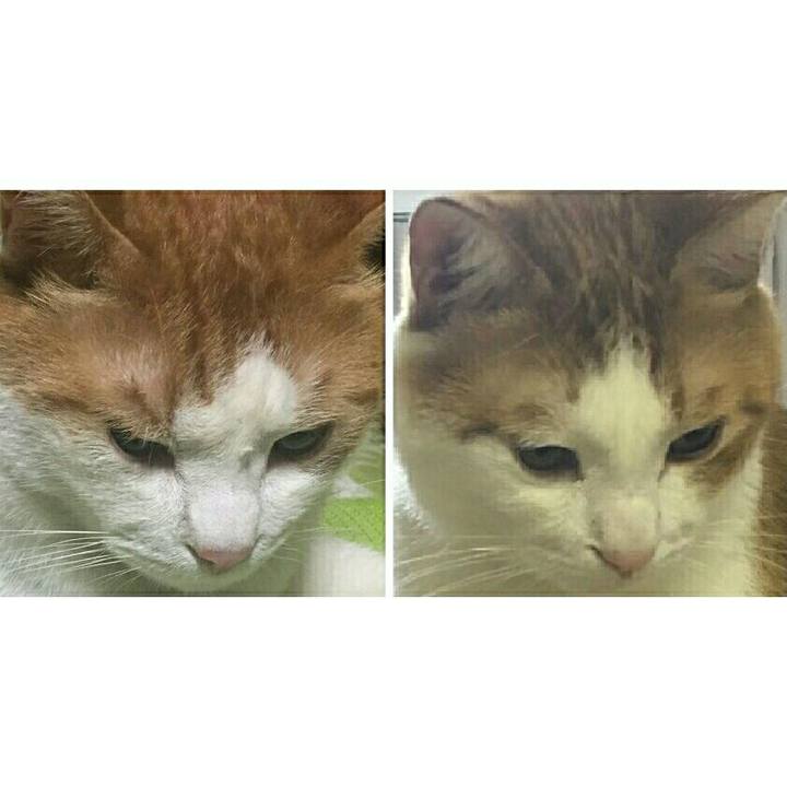 E04d2b93 dc3c 4e02 b593 a006aa43c1ac