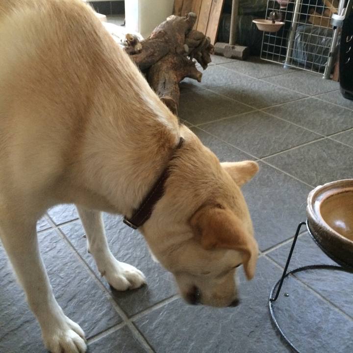 E04d30ef 7a28 431c aeb3 b00d1be2d0cb