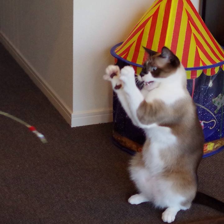 E04d9800 3982 4600 a822 87a2a695a6d1