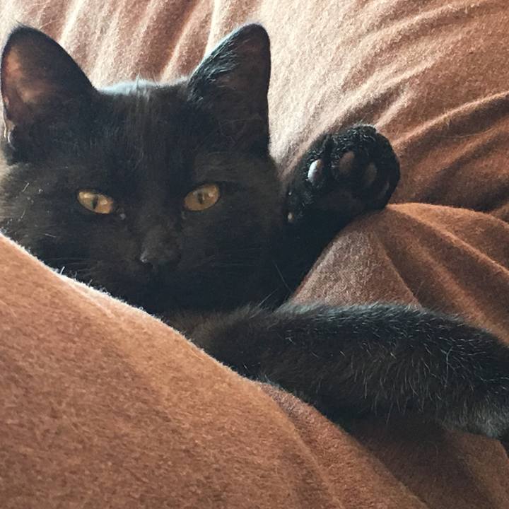 E04debba 3a51 44c5 bdd1 007b6a271daa