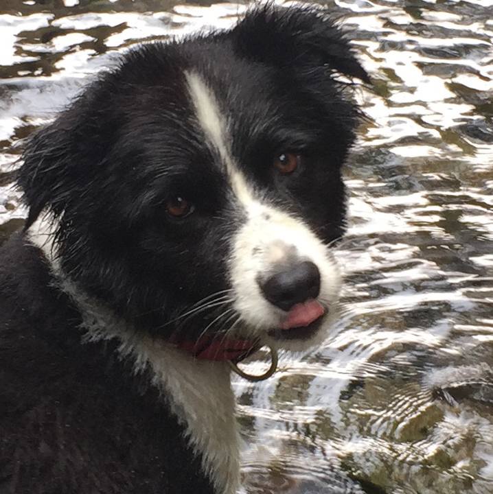 E04dfe4b b641 4bc4 91ef a0c871e35ab5