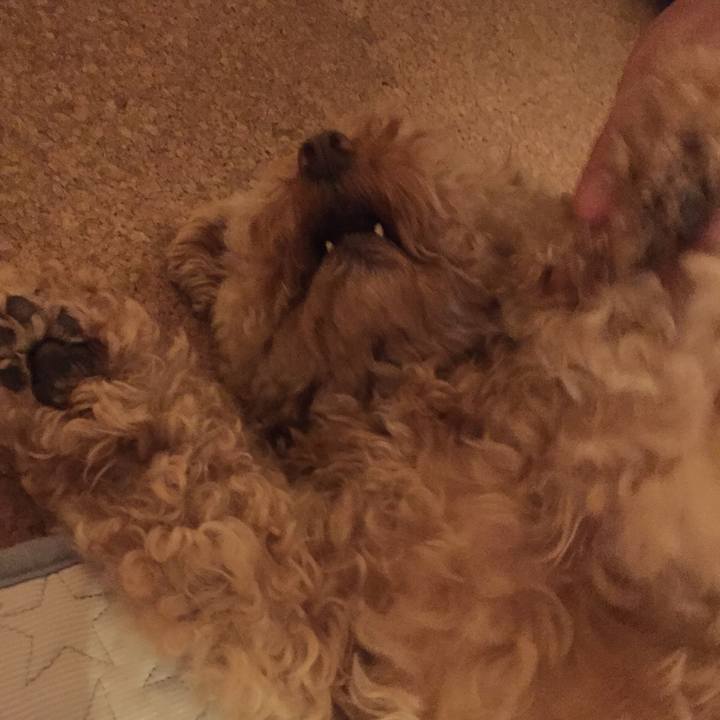 E04e9b9c aceb 4ecf a3d2 983b8f9bbfa4